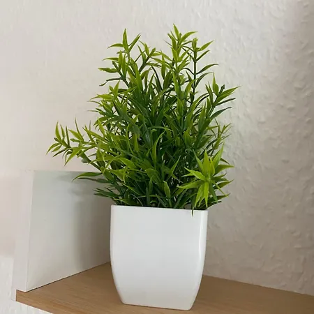 Blaue Lagune 2,5 Balkon Smarttv Kueche Wifi דירה *